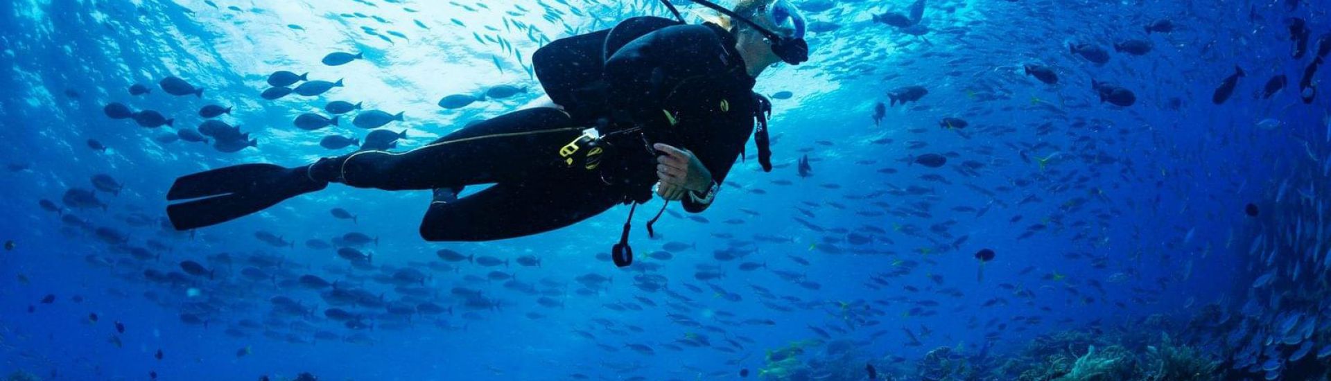 Discover Scuba